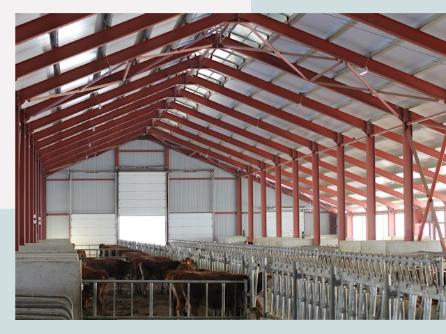 Строительство коровников в Выксе