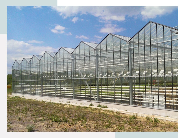 Строительство теплиц в Выкса от 622 руб. за м²