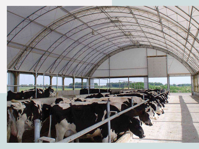 Тентовые коровники в Выксе